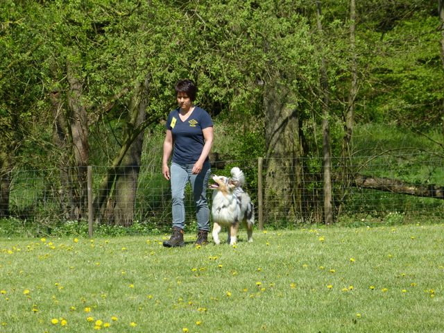 Obi-Prüfung 2016