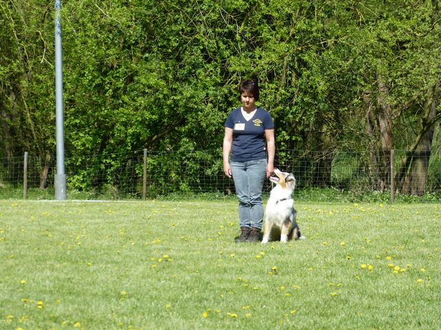 Obi-Prüfung 2016