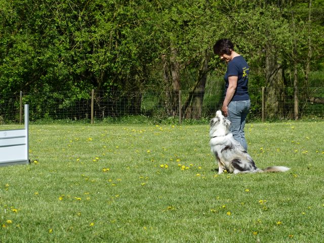 Obi-Prüfung 2016