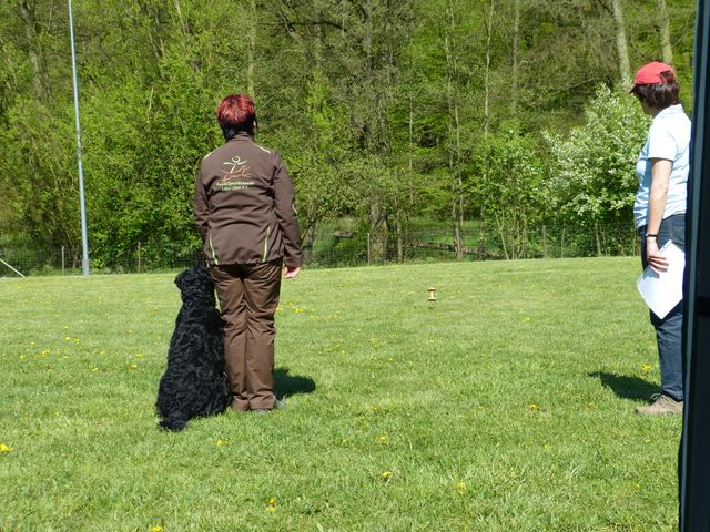 Obi-Prüfung 2016