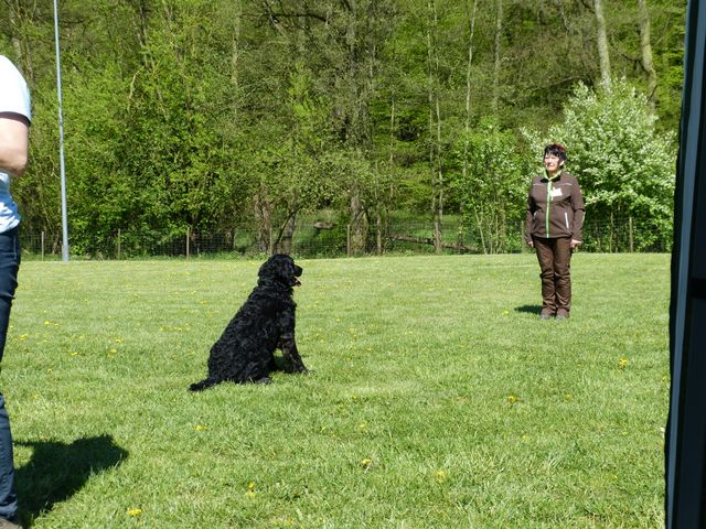 Obi-Prüfung 2016