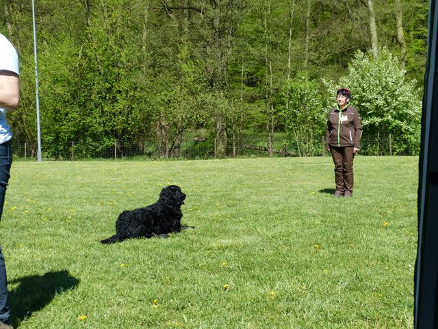 Obi-Prüfung 2016
