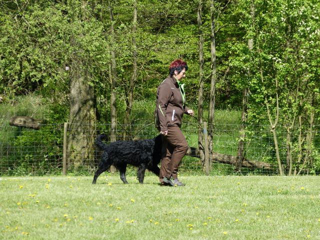 Obi-Prüfung 2016