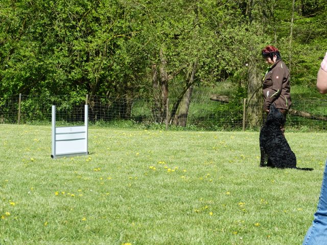 Obi-Prüfung 2016