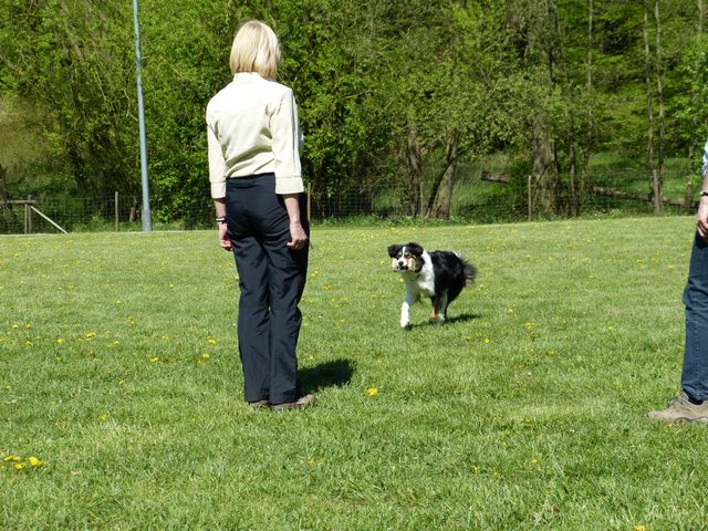 Obi-Prüfung 2016