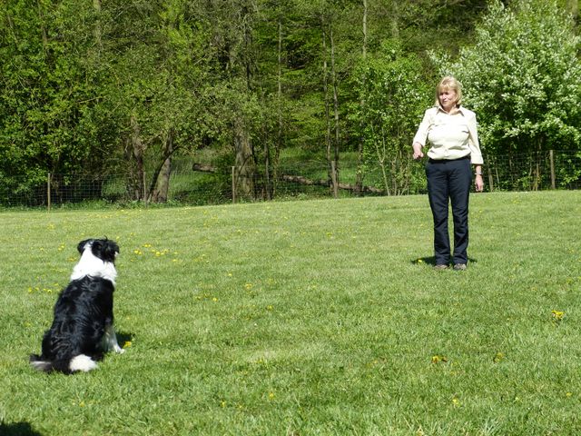 Obi-Prüfung 2016
