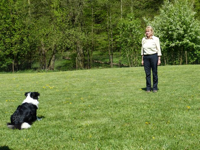Obi-Prüfung 2016