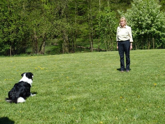 Obi-Prüfung 2016