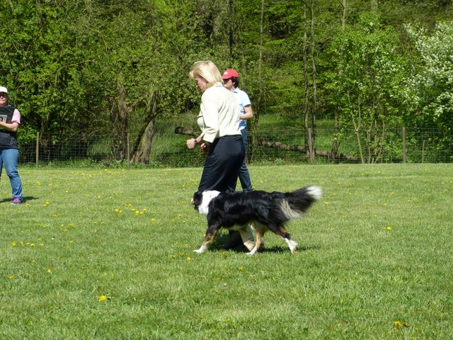 Obi-Prüfung 2016