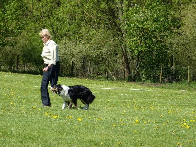 Obi-Prüfung 2016
