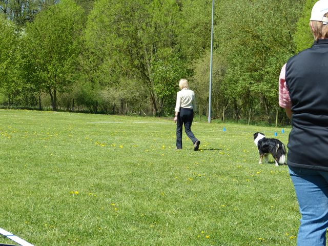 Obi-Prüfung 2016