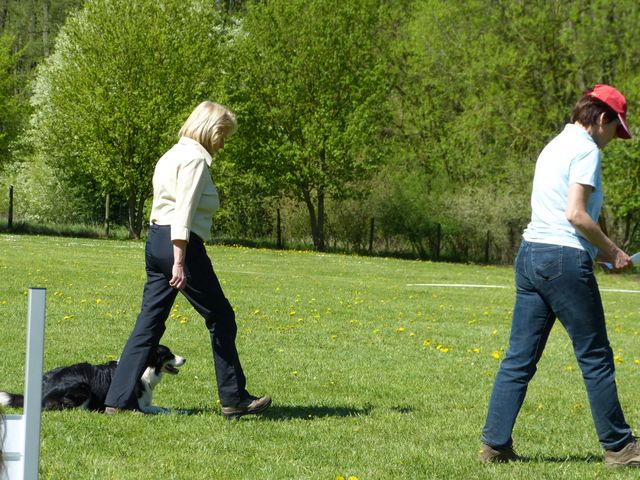 Obi-Prüfung 2016