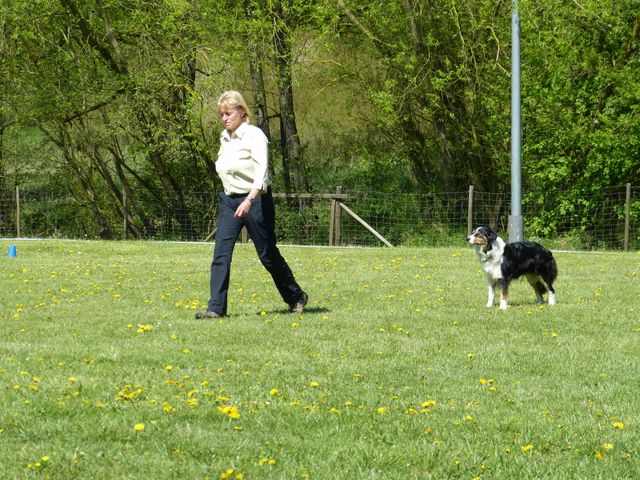Obi-Prüfung 2016