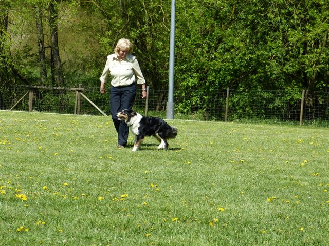 Obi-Prüfung 2016