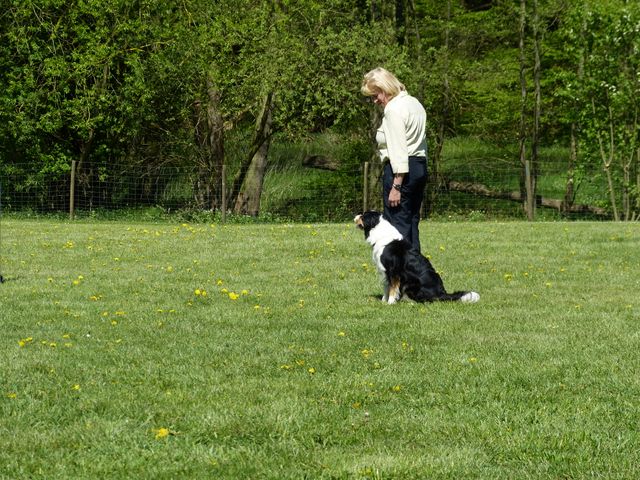 Obi-Prüfung 2016