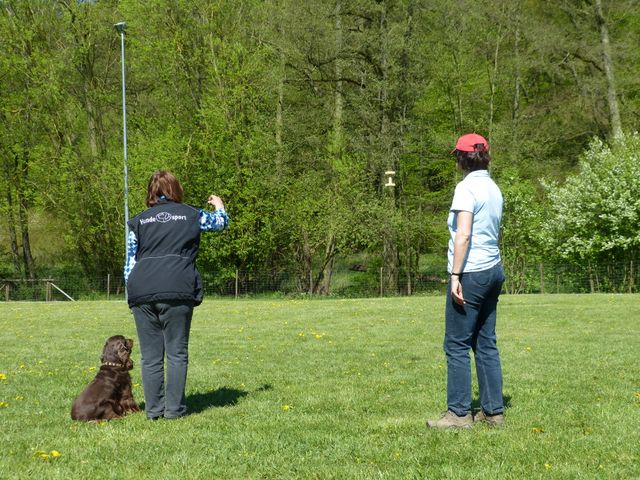 Obi-Prüfung 2016