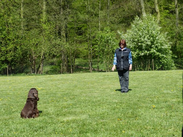 Obi-Prüfung 2016