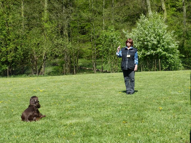 Obi-Prüfung 2016