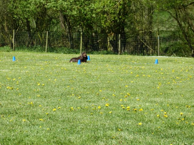 Obi-Prüfung 2016