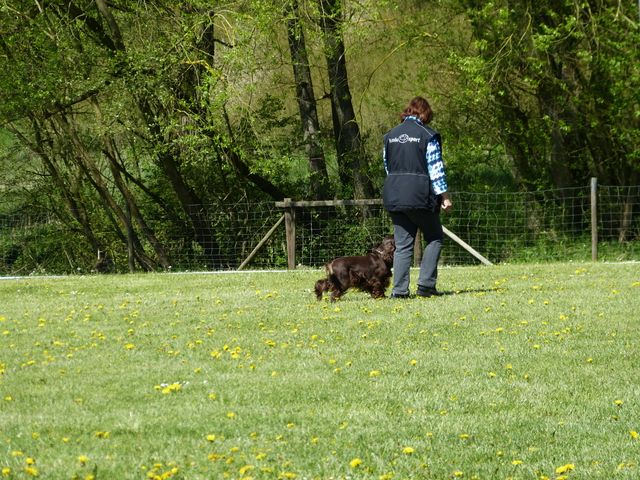 Obi-Prüfung 2016