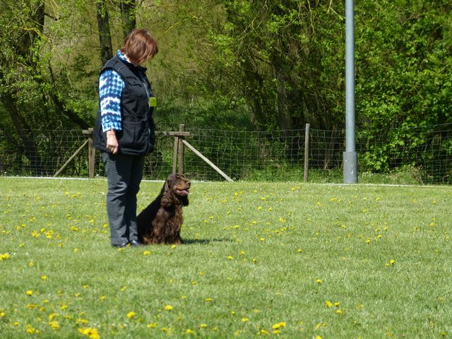Obi-Prüfung 2016