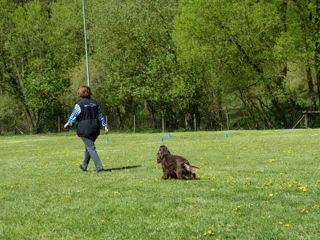 Obi-Prüfung 2016