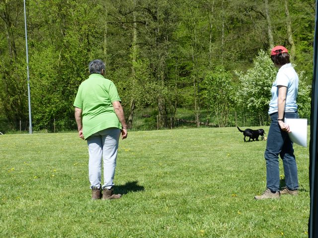 Obi-Prüfung 2016