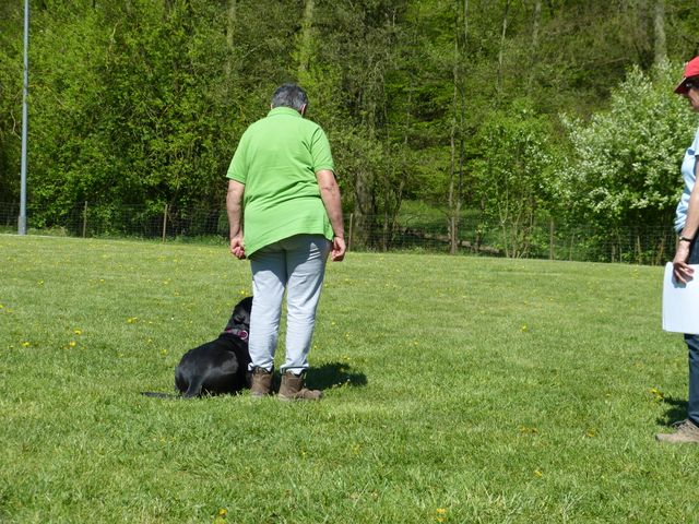 Obi-Prüfung 2016