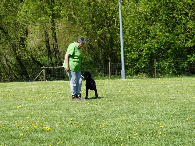 Obi-Prüfung 2016
