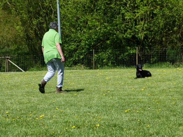 Obi-Prüfung 2016