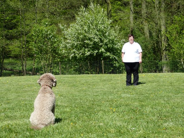 Obi-Prüfung 2016