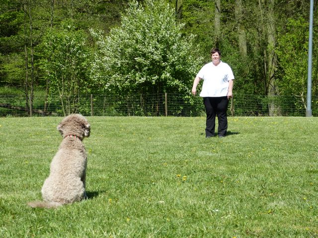 Obi-Prüfung 2016