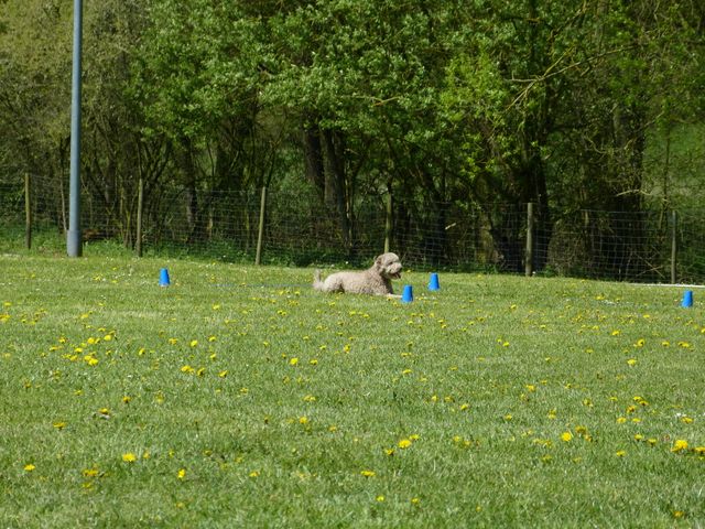 Obi-Prüfung 2016