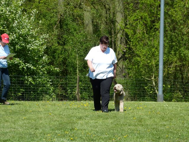 Obi-Prüfung 2016