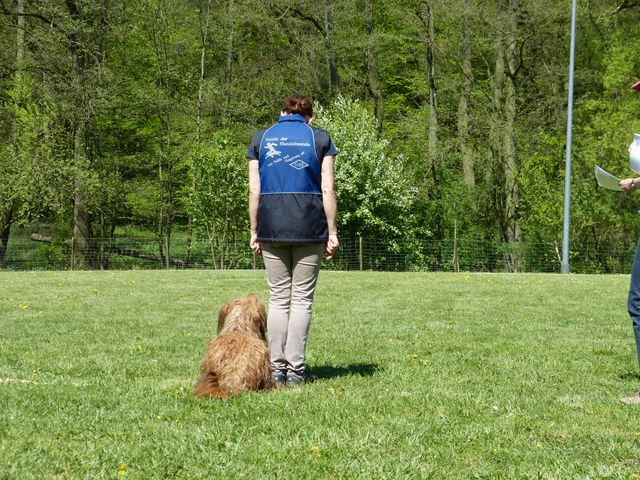 Obi-Prüfung 2016