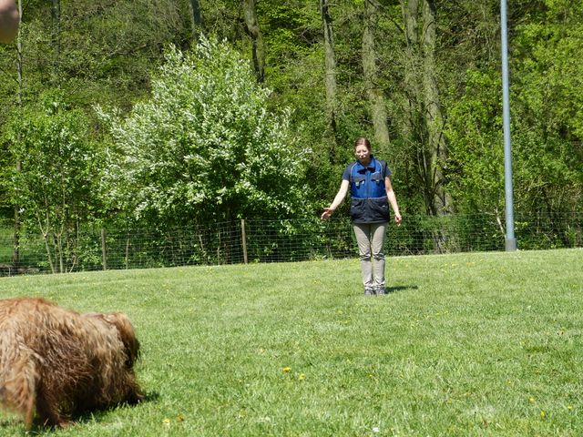 Obi-Prüfung 2016