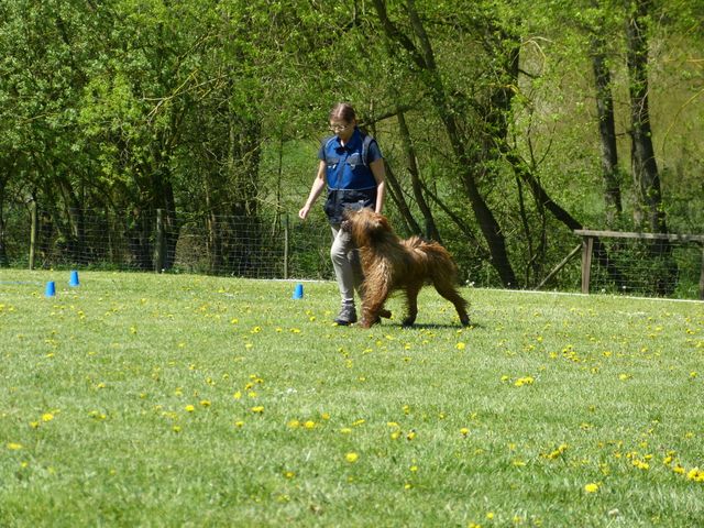 Obi-Prüfung 2016