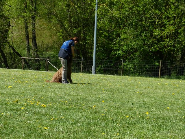 Obi-Prüfung 2016