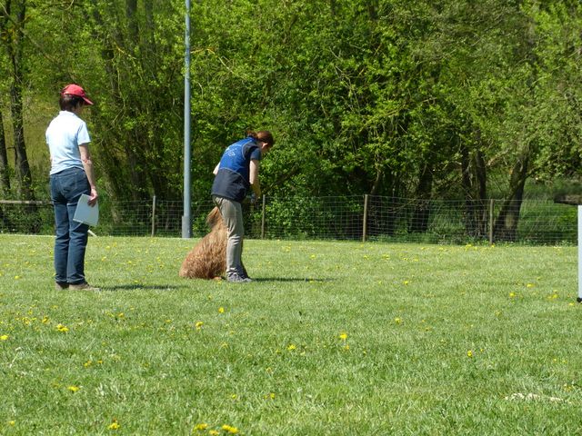 Obi-Prüfung 2016