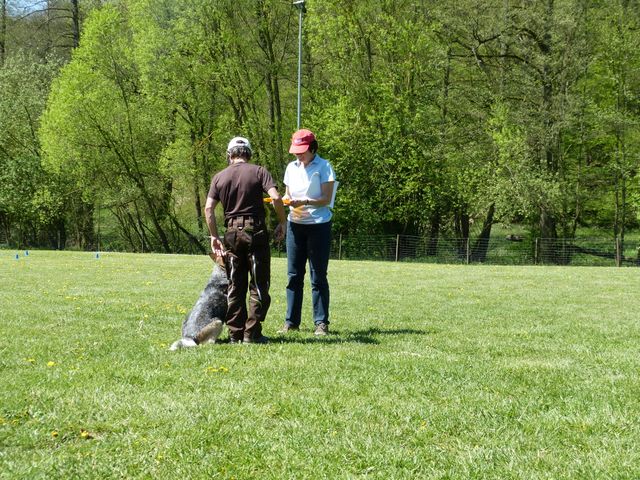 Obi-Prüfung 2016