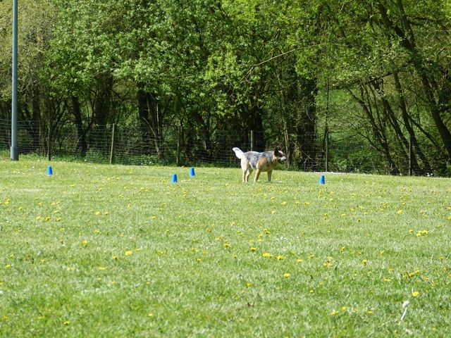 Obi-Prüfung 2016