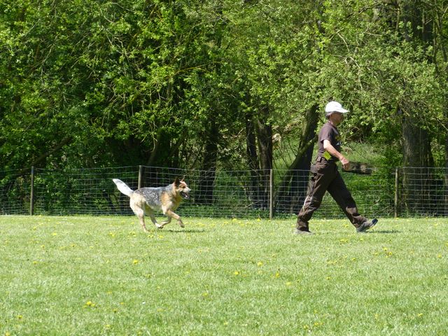 Obi-Prüfung 2016