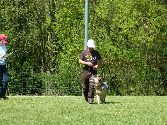 Obi-Prüfung 2016