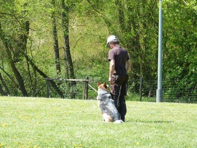 Obi-Prüfung 2016