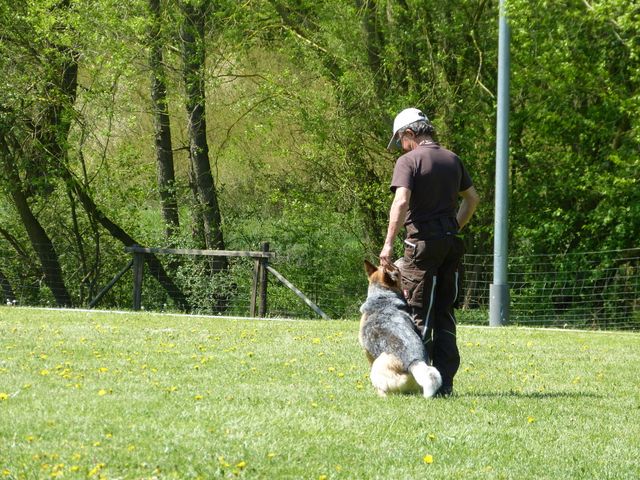 Obi-Prüfung 2016