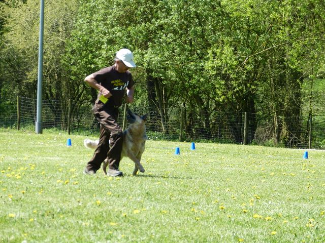 Obi-Prüfung 2016