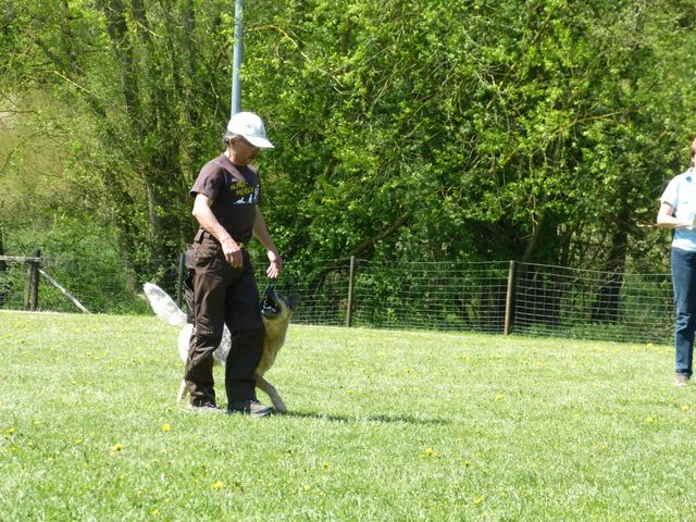 Obi-Prüfung 2016