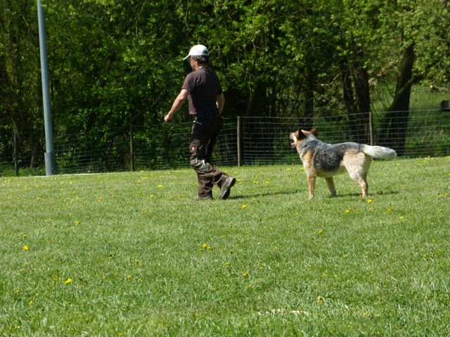 Obi-Prüfung 2016