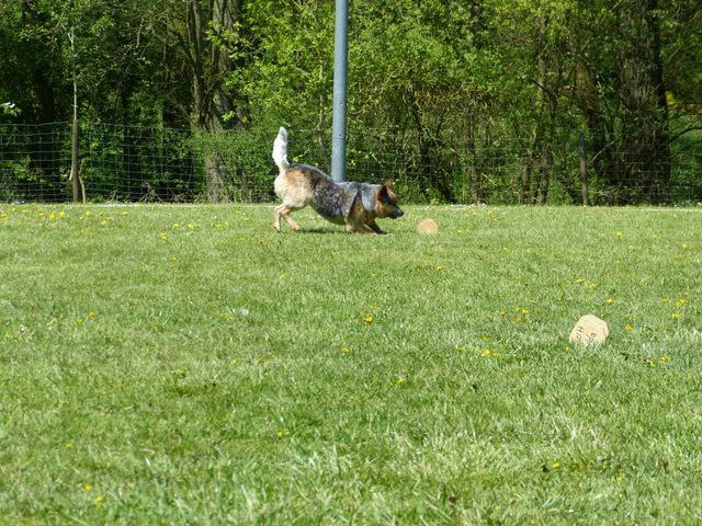 Obi-Prüfung 2016