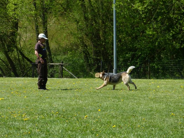 Obi-Prüfung 2016